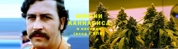 дмт Козловка