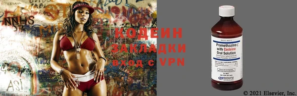 дмт Козловка
