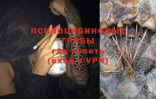 MESCALINE Кодинск