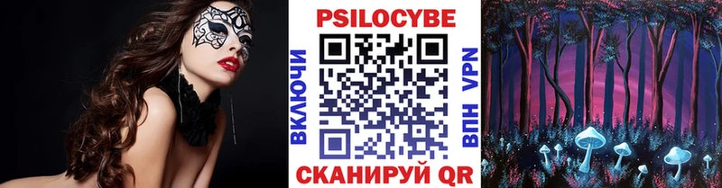 Купить закладки  Бавлы  Псилоцибиновые грибы мицелий 